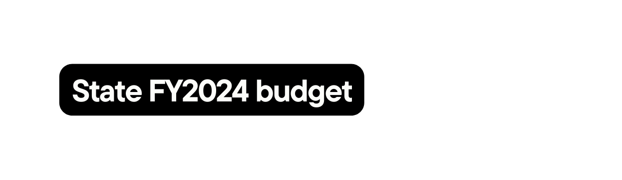 State FY2024 budget